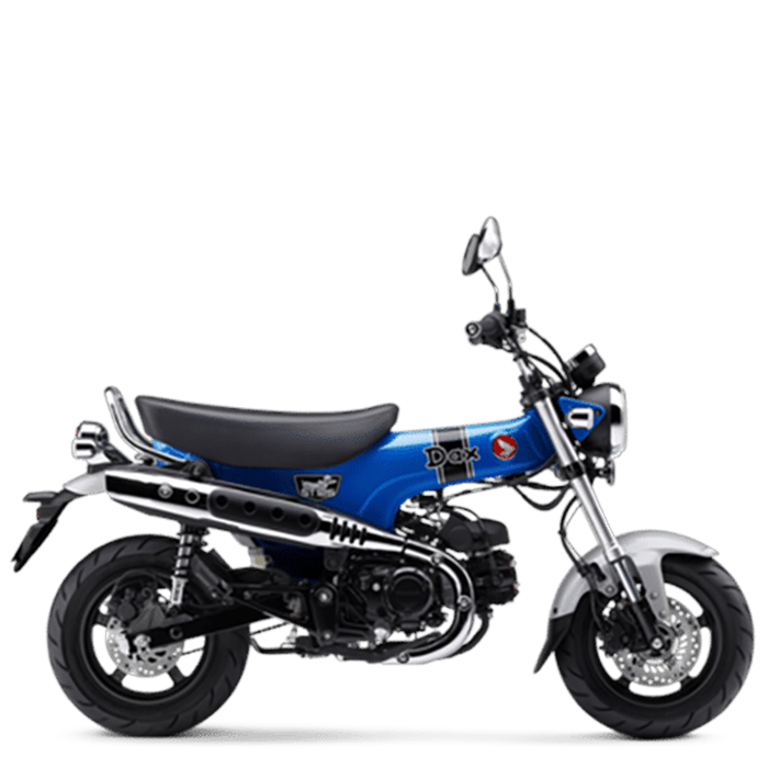 st125-dax